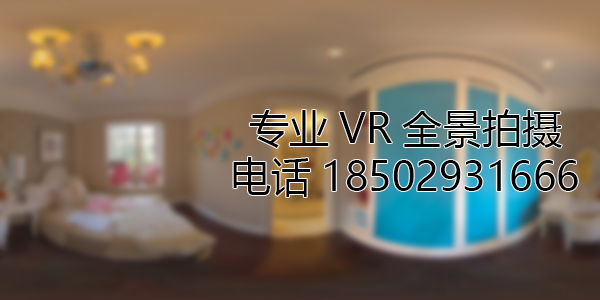 江苏如何才能拍好VR全景